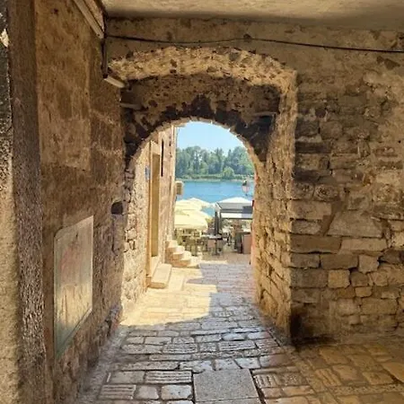 Allegre Old Town 1 公寓 罗维尼